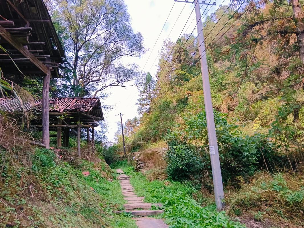 昨天下午四位好友一起徒步从思口黄坑村