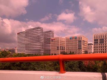 五仁月饼缺一仁的微博